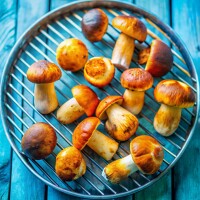grilled porcini mushrooms