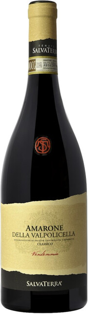 Вино SalvaTerra, Amarone della Valpolicella Classico DOCG