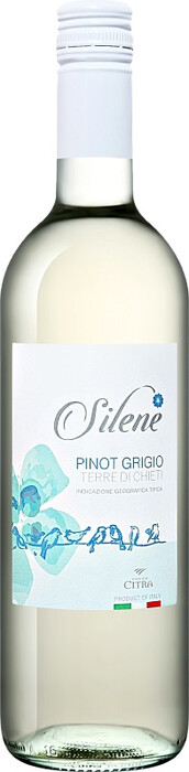 Вино "Silene" Pinot Grigio, Terre di Chieti IGT