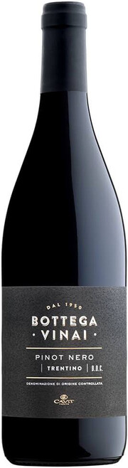 Вино Cavit, "Bottega Vinai" Pinot Nero, Trentino DOC