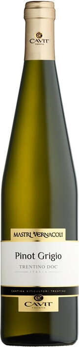 Вино "Mastri Vernacoli" Pinot Grigio, Trentino DOC, 2021-2022