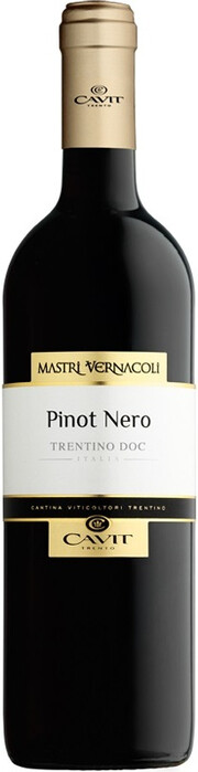 Вино "Mastri Vernacoli" Pinot Nero, Trentino DOC