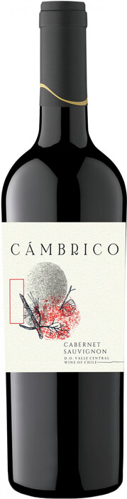 Вино "Cambrico" Cabernet Sauvignon, Valle Central DO 750 мл