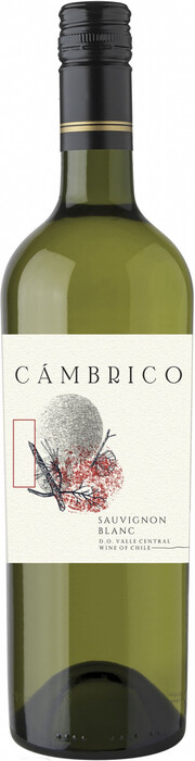 Вино "Cambrico" Sauvignon Blanc, Valle Central DO