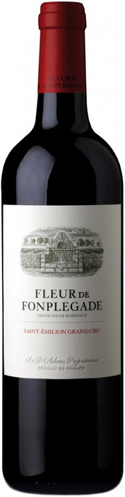 Вино "Fleur de Fonplegade", Saint-Emilion Grand Cru AOC